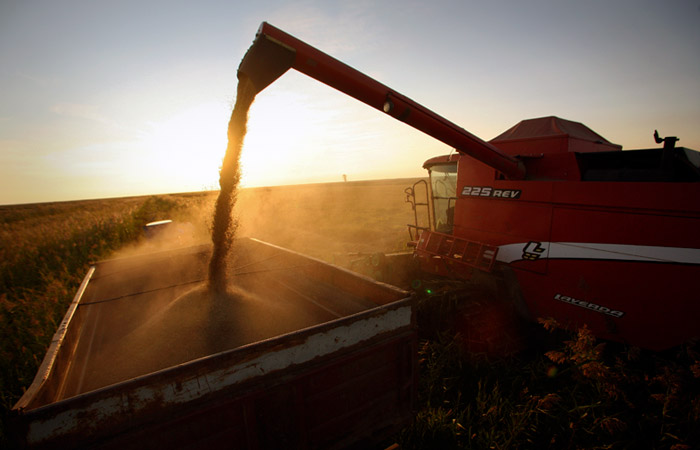 Минсельхоз планирует сохранить запрет на экспорт риса в 2023 году