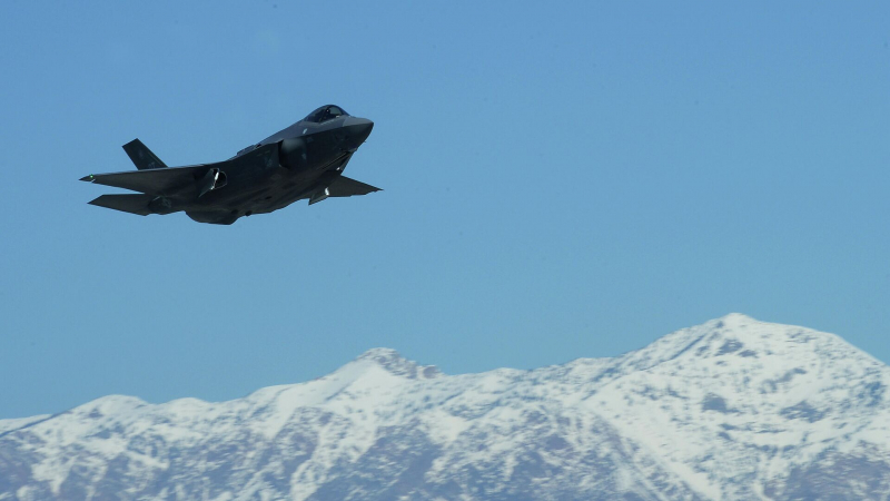 Депутат ХДС призвал пересмотреть контракты с США после скандала с F-35А