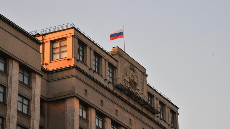 США дают шанс террористам создать государство в Сирии, заявили в Госдуме