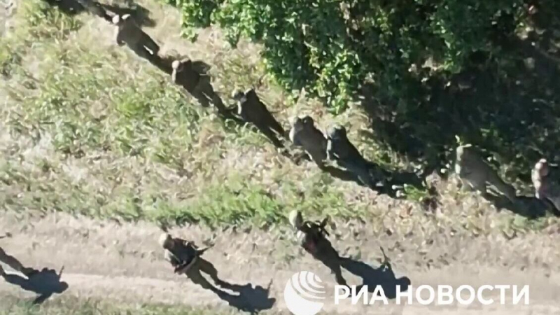 В Минобороны рассказали о паническом бегстве боевиков ВСУ из Угледара